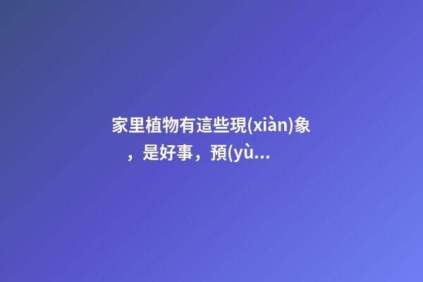 家里植物有這些現(xiàn)象，是好事，預(yù)示你家要發(fā)大財(cái)了！